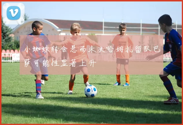 小蜘蛛转会悬而未决哈姆扎留队巴萨可能性显著上升