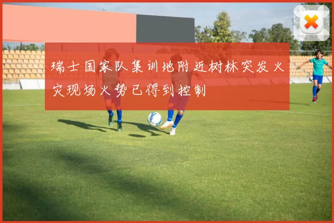 瑞士国家队集训地附近树林突发火灾现场火势已得到控制