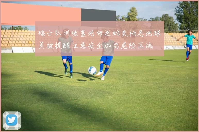 瑞士队训练基地邻近蛇类栖息地球员被提醒注意安全远离危险区域